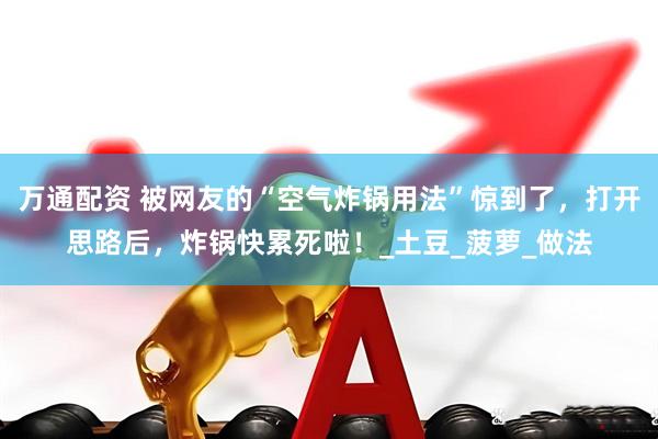 万通配资 被网友的“空气炸锅用法”惊到了，打开思路后，炸锅快累死啦！_土豆_菠萝_做法