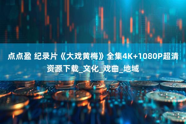 点点盈 纪录片《大戏黄梅》全集4K+1080P超清资源下载_文化_戏曲_地域